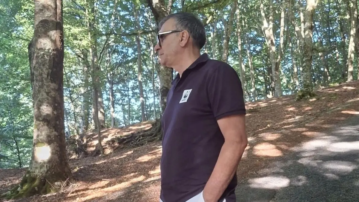Fagnano Castello, Campana contro il taglio della faggeta: «Fermate le motoseghe»\n