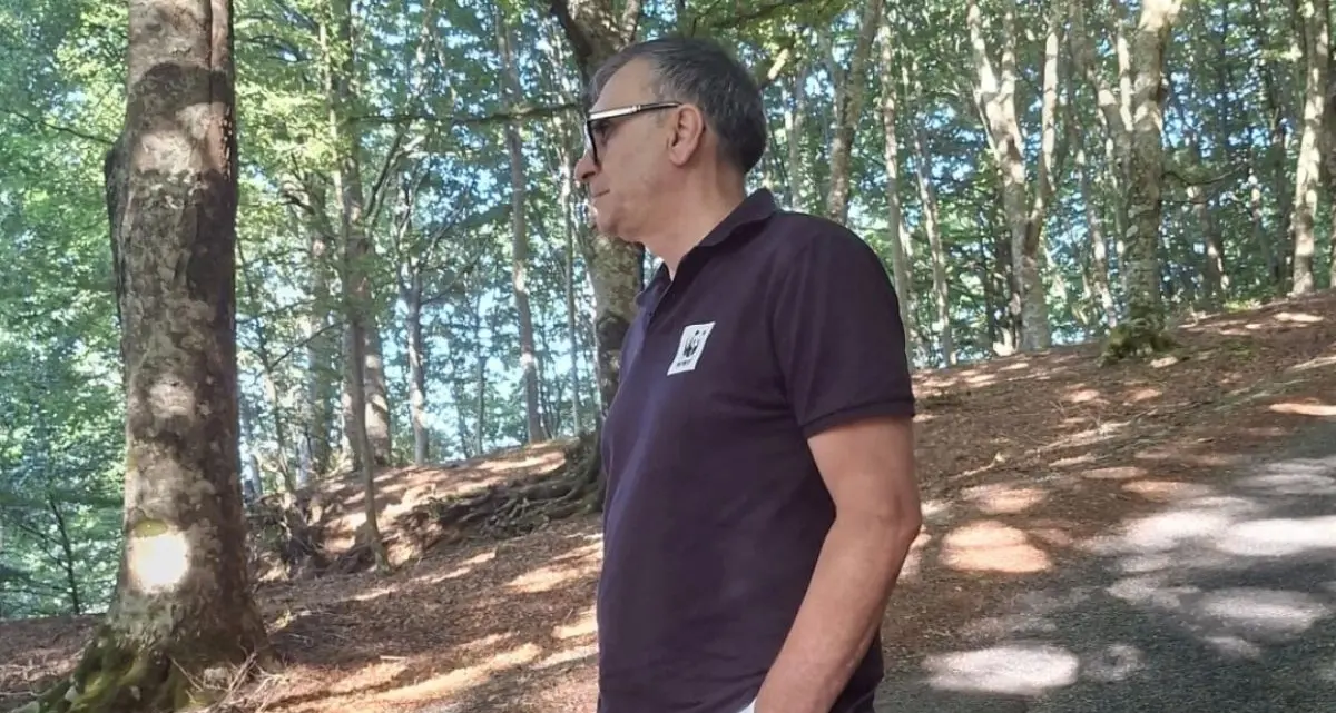 Fagnano Castello, Campana contro il taglio della faggeta: «Fermate le motoseghe»\n