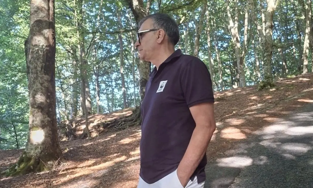 Fagnano Castello, Campana contro il taglio della faggeta: «Fermate le motoseghe»\n
