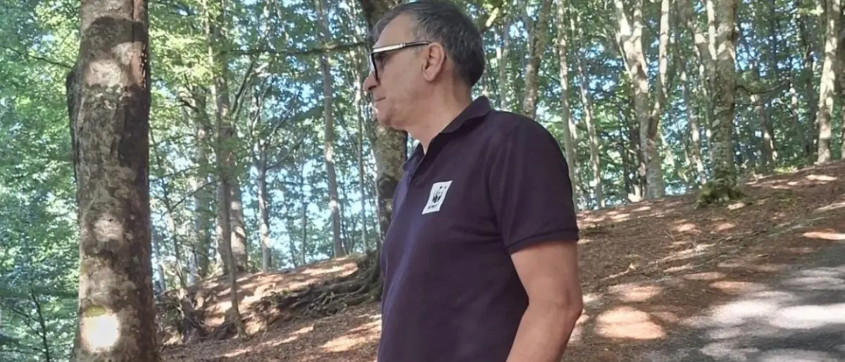 Fagnano Castello, Campana contro il taglio della faggeta: «Fermate le motoseghe»\n