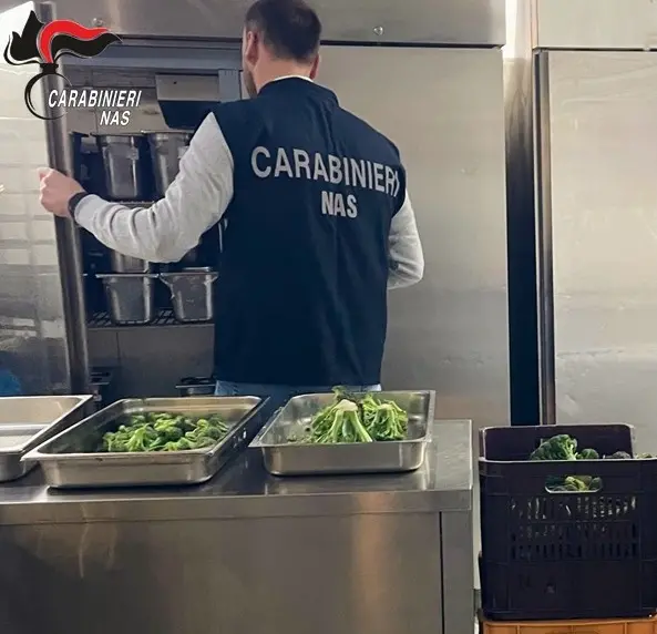 Controlli dei Nas di Catanzaro, 19 attività su 27 risultano irregolari: sequestrati 300 kg\u00A0di alimenti e\u00A033mila euro di multe\n