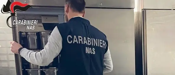 Controlli dei Nas di Catanzaro, 19 attività su 27 risultano irregolari: sequestrati 300 kg\u00A0di alimenti e\u00A033mila euro di multe\n