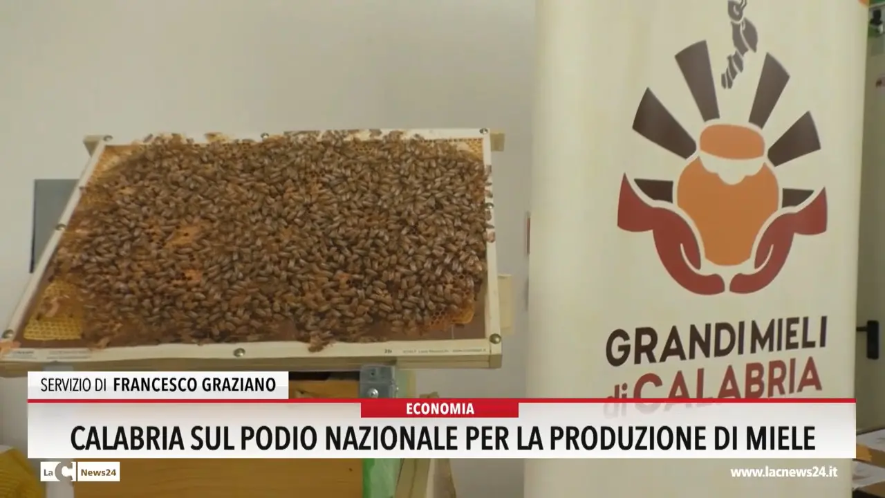 Calabria, sul podio nazionale per la produzione di miele