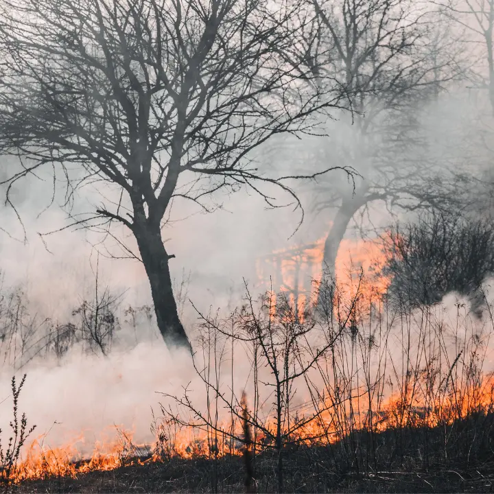 Incendio a Crotone lambisce la Statale 106: strada chiusa in entrambe le direzioni\u00A0\n