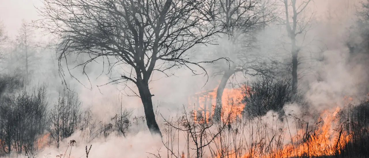 Incendio a Crotone lambisce la Statale 106: strada chiusa in entrambe le direzioni\u00A0\n