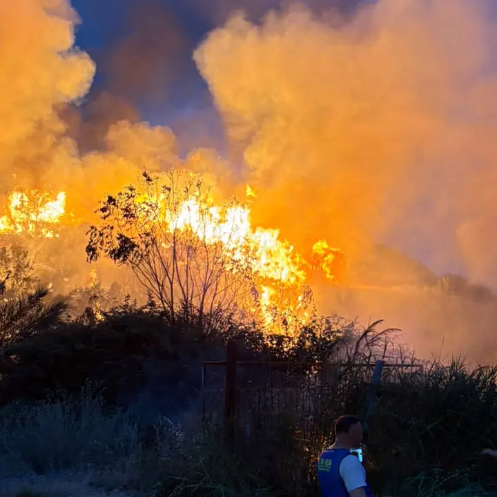 Dipignano, divampa un incendio nella frazione di Laurignano. Evacuati degli animali\n