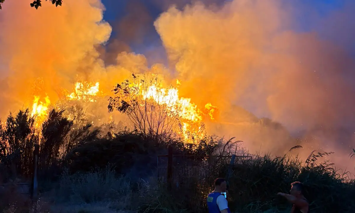 Dipignano, divampa un incendio nella frazione di Laurignano. Evacuati degli animali\n