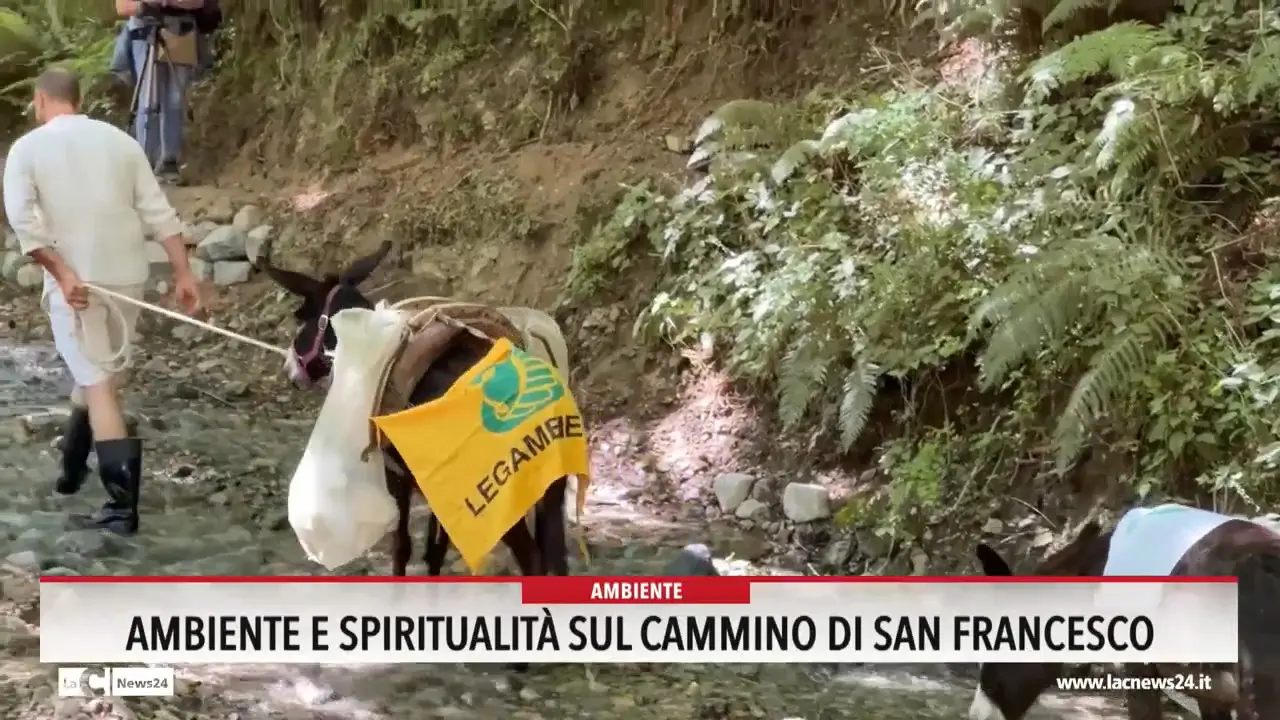 Ambiente e spiritualità sul cammino di San Francesco