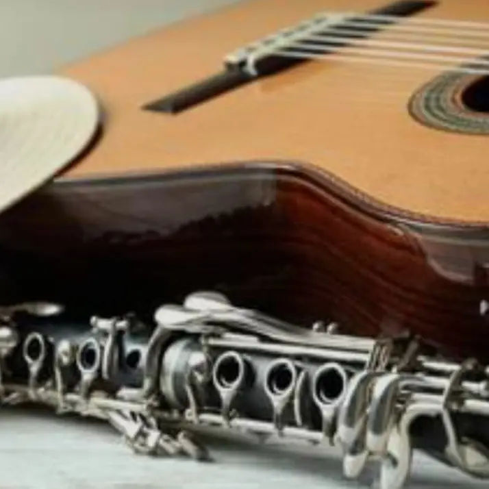 Dalla chitarra ai clarinetti, giovani musicisti calabresi premiati nei concorsi regionali\n