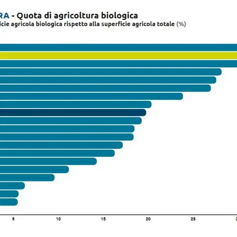 Calabria promossa su rinnovabili e agricoltura, ma la transizione rallenta\n