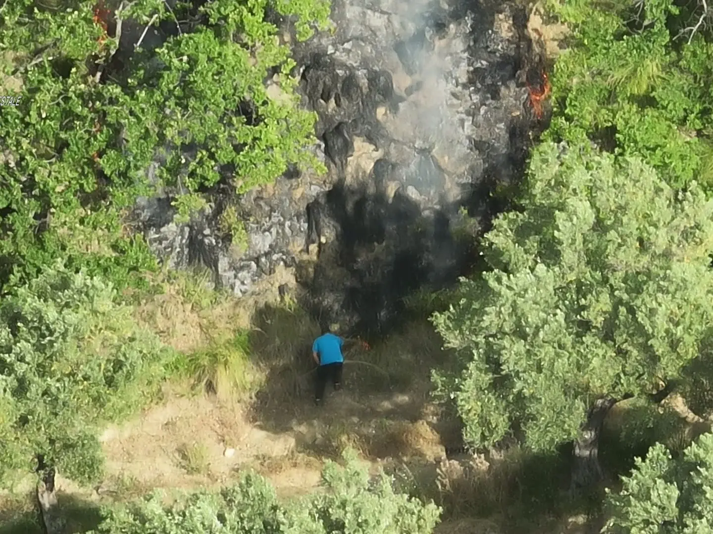 Cleto, beccato da un drone mentre appicca un incendio boschivo: denunciato