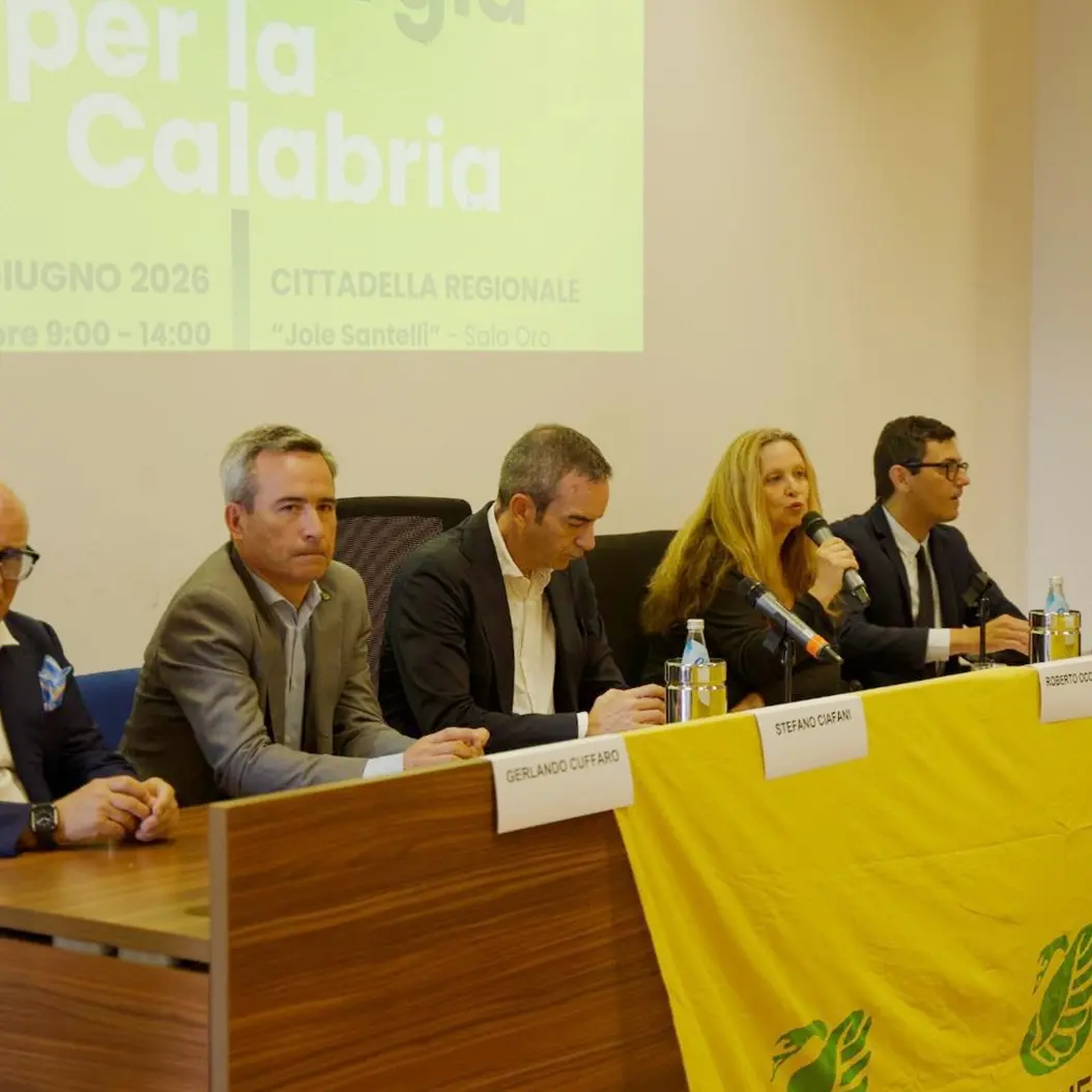 <p>La Calabria produce più del doppio dell’energia che consuma, Occhiuto: «Qui dovrebbe costare di meno, mi batterò per questo»</p>