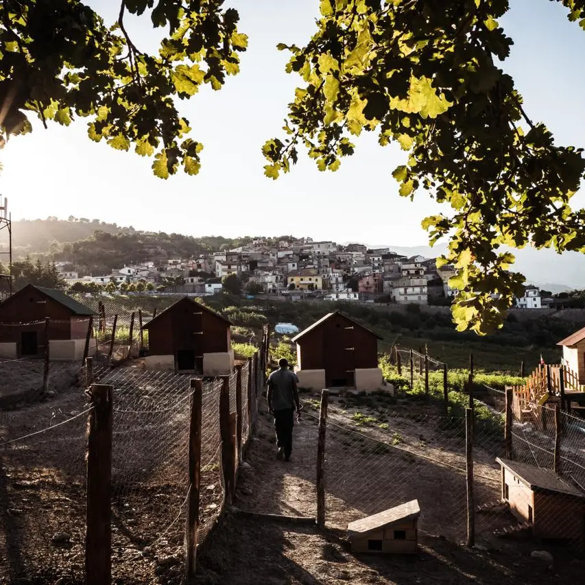 Locride, esce il libro fotografico\u00A0«Camini: Una finestra sul mondo»\n
