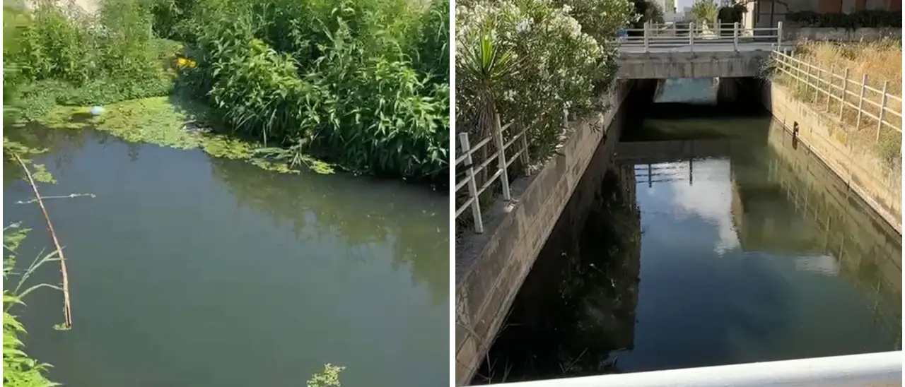 La foce del fosso Antonucci diventa una palude maleodorante: «Vibo Marina merita rispetto, serve un intervento immediato\u00A0»\n