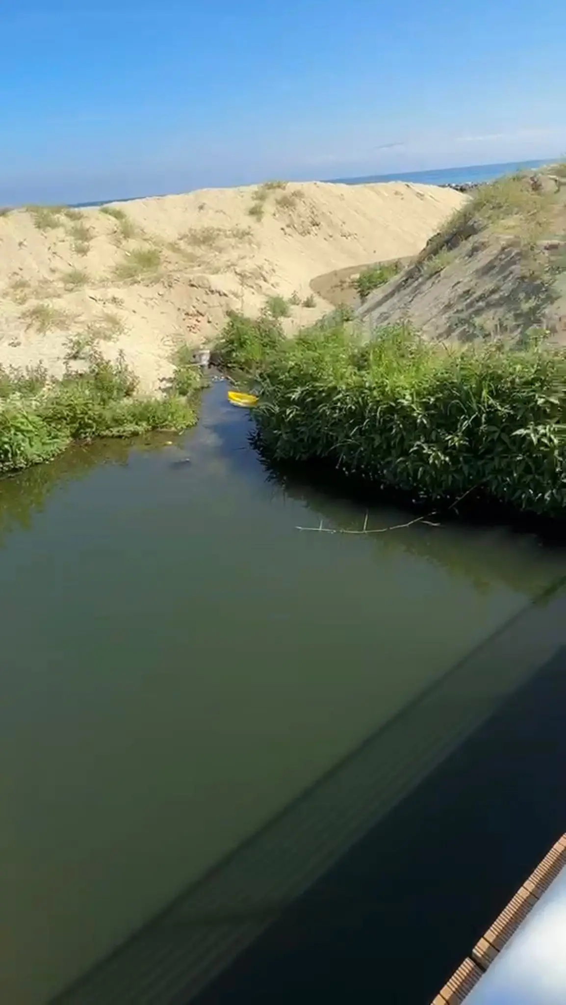 Vibo Marina, foce del Fosso Antonucci trasformata in palude: la denuncia di Cuore Vibonese