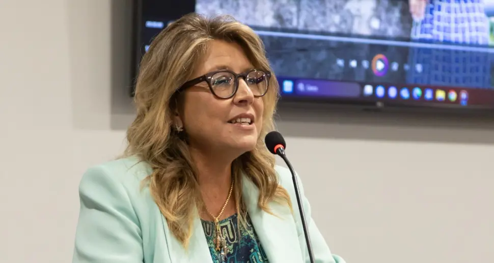 Rende: «Dispiaciuta per la rottura tra i Comitati di quartiere di Cosenza e Palazzo dei Bruzi»\n