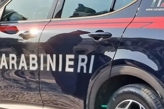 'Ndrangheta, affari nelle mense scolastiche e negli appalti: blitz tra Lamezia, Vibo, Terni e Como, nove arresti e due aziende sequestrate\n