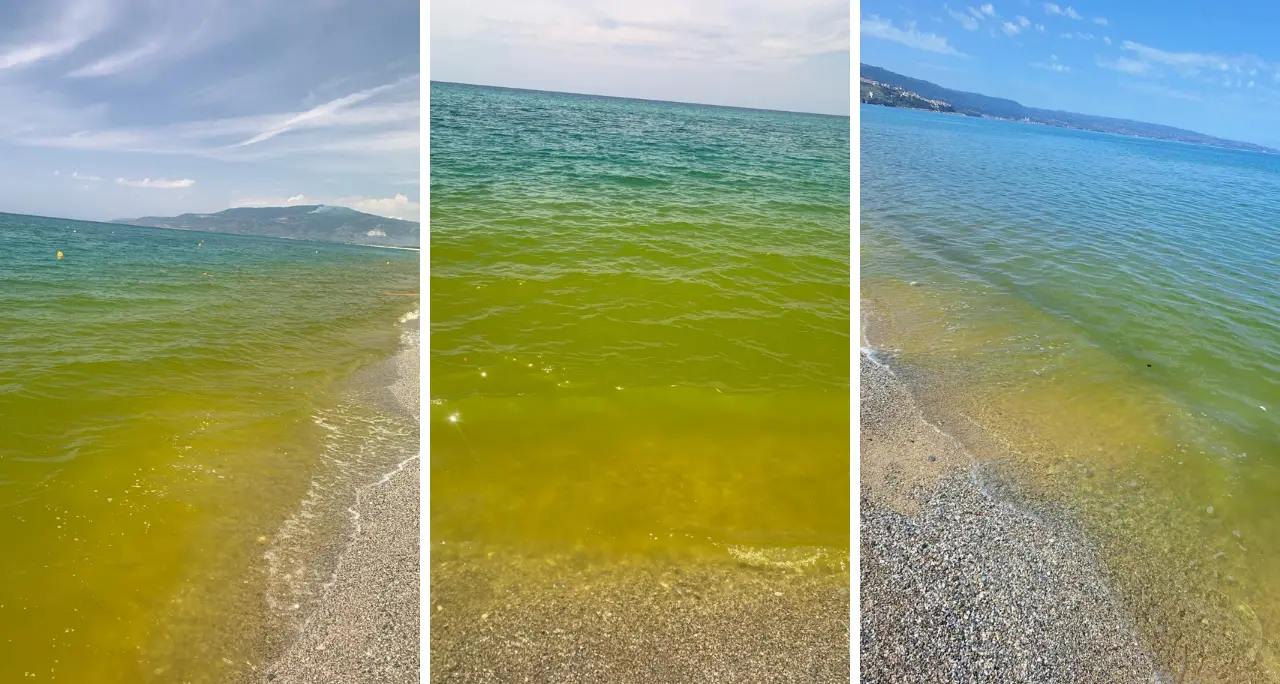 <p>La stretta sulla depurazione non basta: mare verde nel golfo di Sant’Eufemia e fioritura algale già iniziata</p>