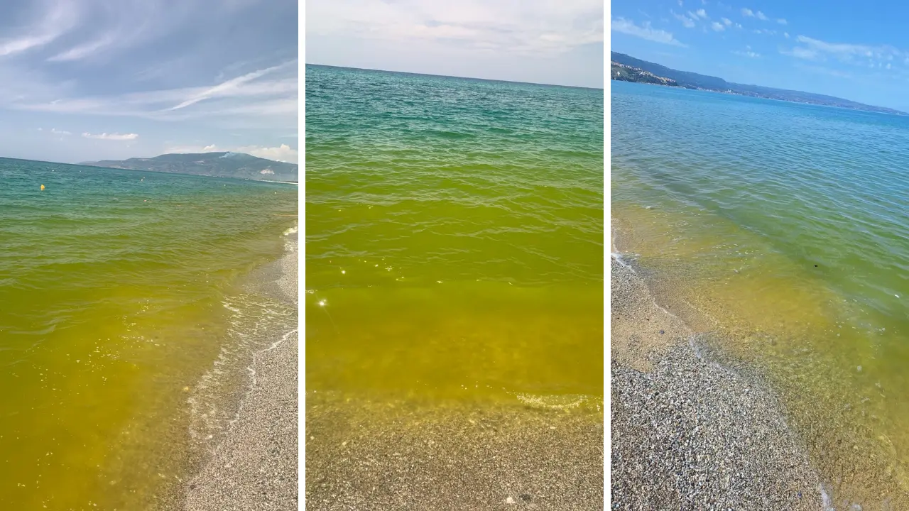 La stretta sulla\u00A0depurazione non elimina il “mare verde” nel golfo di Sant’Eufemia: la fioritura algale è già iniziata\n
