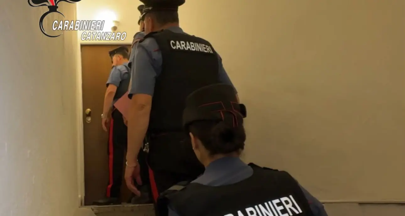 'Ndrangheta, affari nelle mense scolastiche e negli appalti: 9 arresti e 2 aziende sequestrate