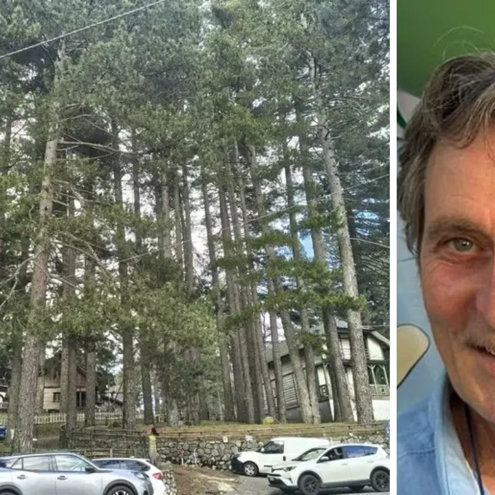 «Sila sempre più protagonista»: ecco come la montagna calabrese può cambiare volto grazie al finanziamento di 10 milioni\u00A0\n