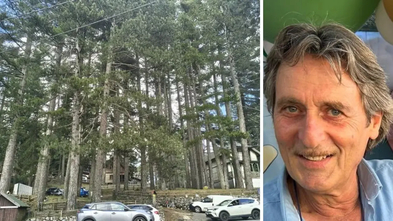 «Sila sempre più protagonista»: ecco come la montagna calabrese può cambiare volto grazie al finanziamento di 10 milioni\u00A0\n