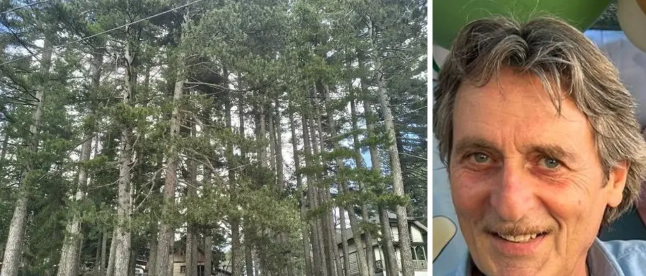 «Sila sempre più protagonista»: ecco come la montagna calabrese può cambiare volto grazie al finanziamento di 10 milioni\u00A0\n