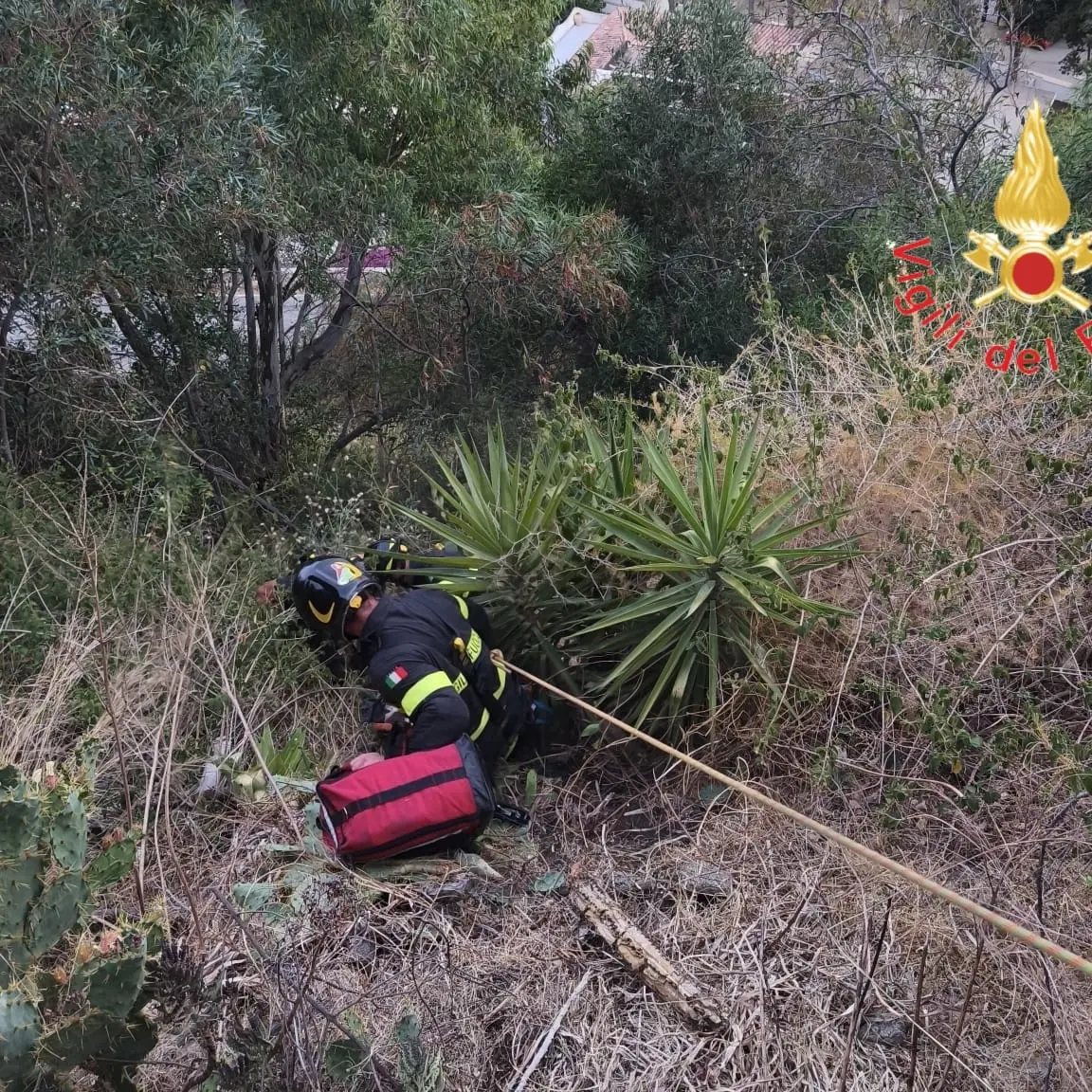 Uomo disperso a Caminia di Stalettì ritrovato in una scarpata: salvato dai Vigili del fuoco\n