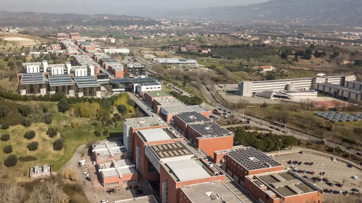 «Pagamenti in ritardo e diritti negati»: i dottorandi chiedono risposte\n