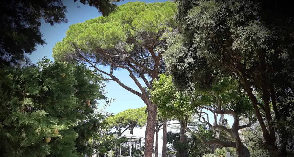 Catanzaro, al via domani la rassegna “da Margherita”\u00A0nella villa comunale. Ecco\u00A0il programma\n
