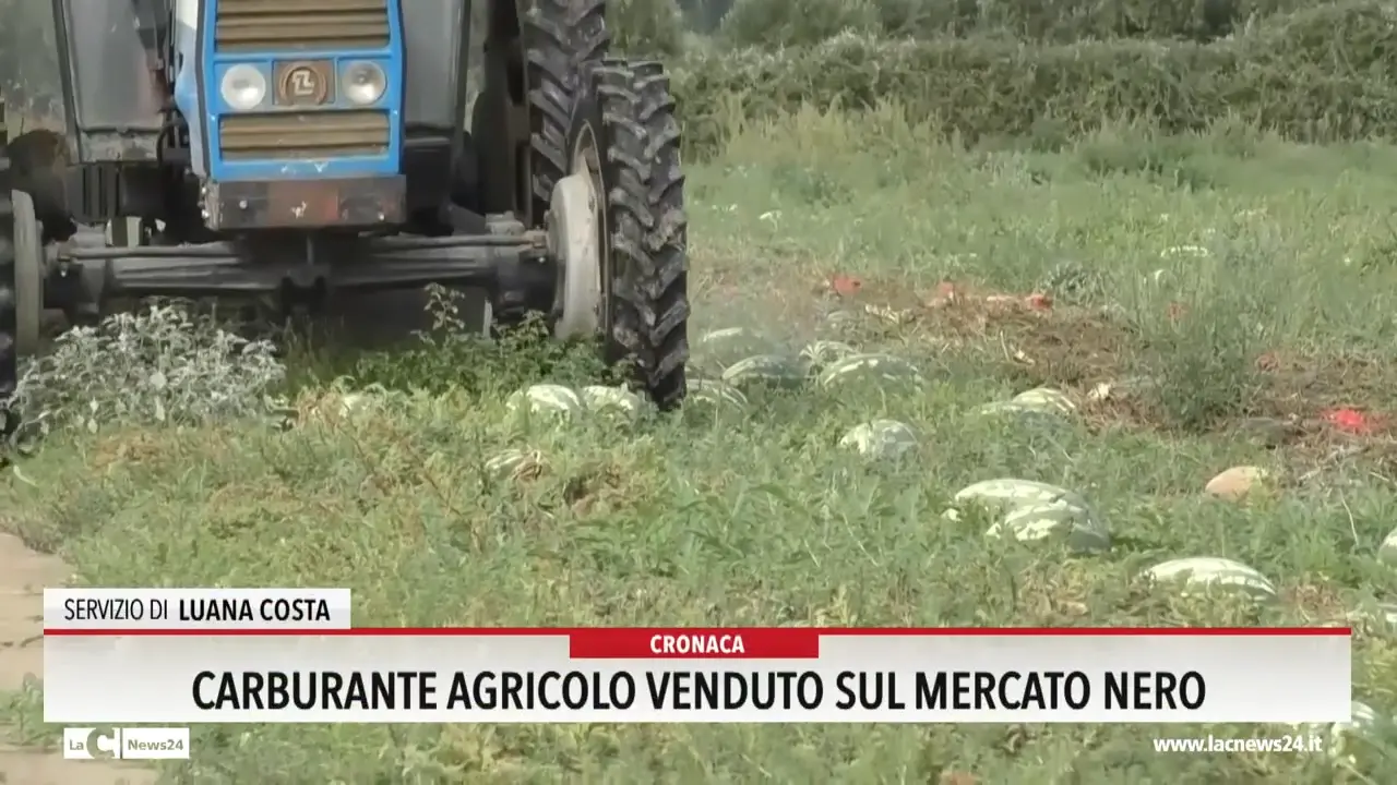Carburante agricolo venduto sul mercato nero