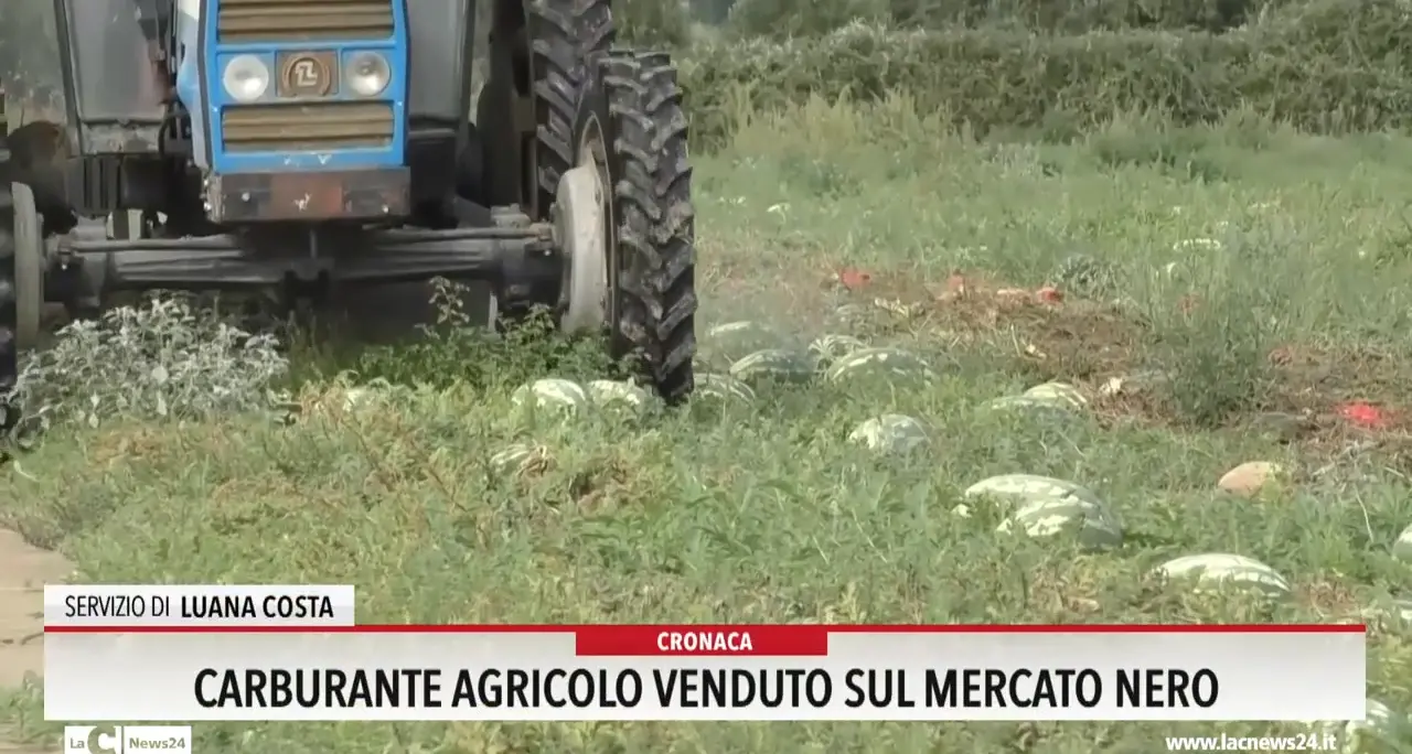 Carburante agricolo venduto sul mercato nero