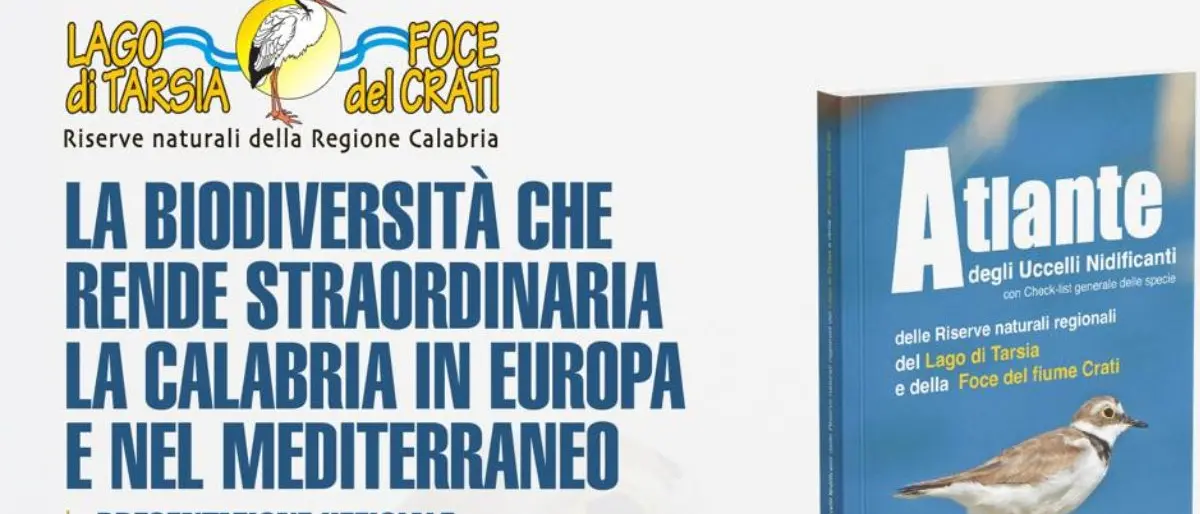 Tarsia, l’Atlante degli uccelli nidificanti racconta la biodiversità delle Riserve\n