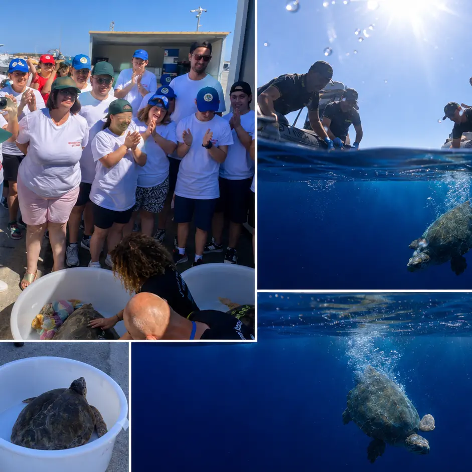 Vibo, due tartarughe tornano in mare dopo le cure salutate dall’entusiasmo dei ragazzi dell’associazione Il Dono\n