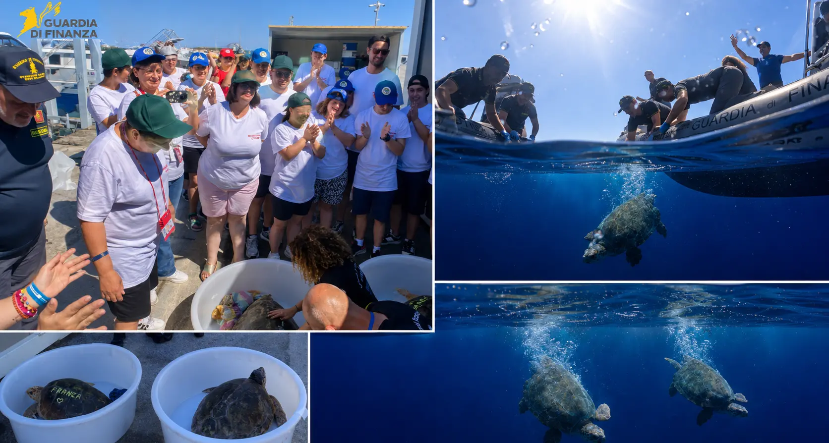 Vibo, due tartarughe tornano in mare dopo le cure salutate dall’entusiasmo dei ragazzi dell’associazione Il Dono\n