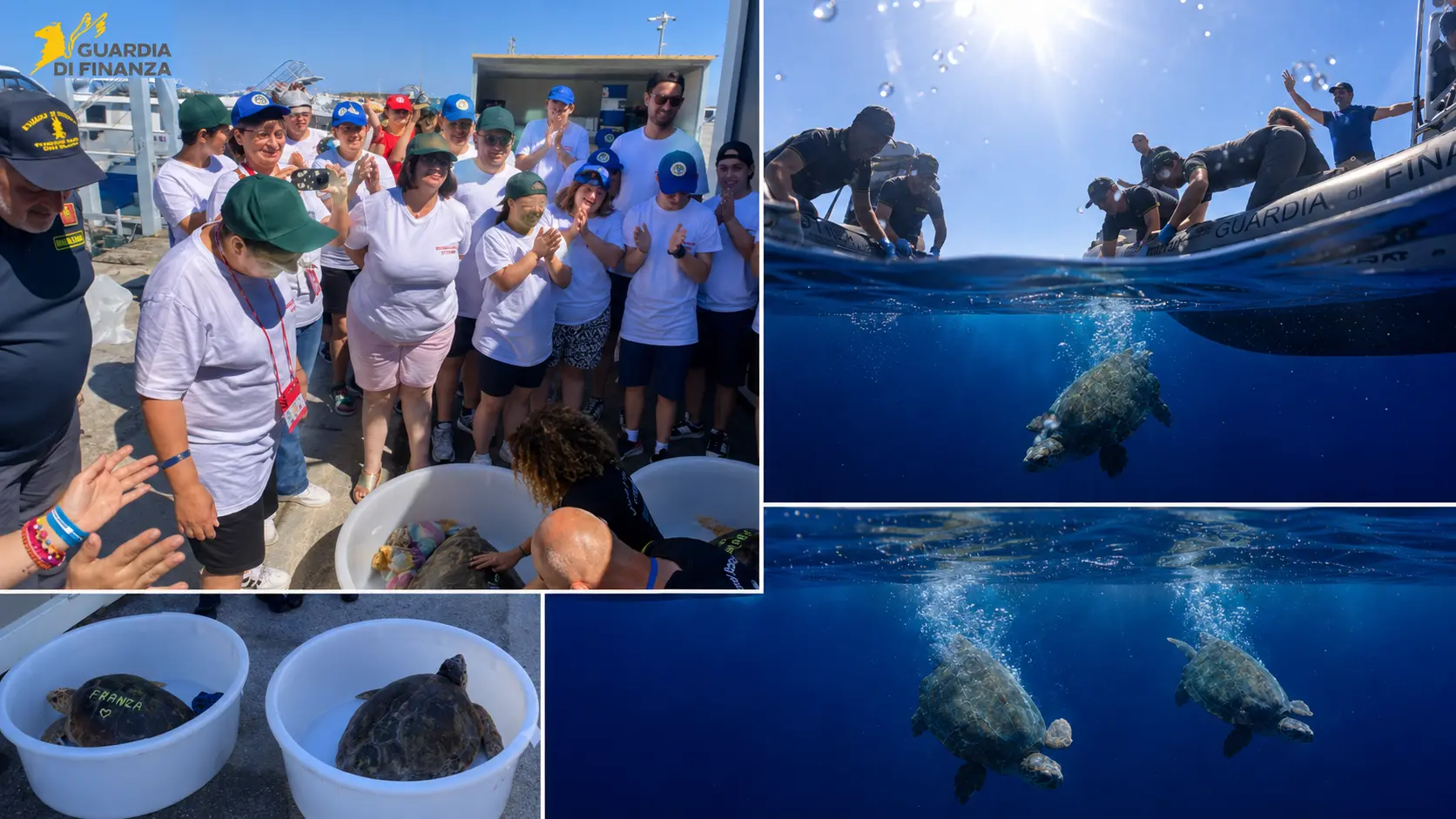 Vibo, due tartarughe tornano in mare dopo le cure salutate dall’entusiasmo dei ragazzi dell’associazione Il Dono\n