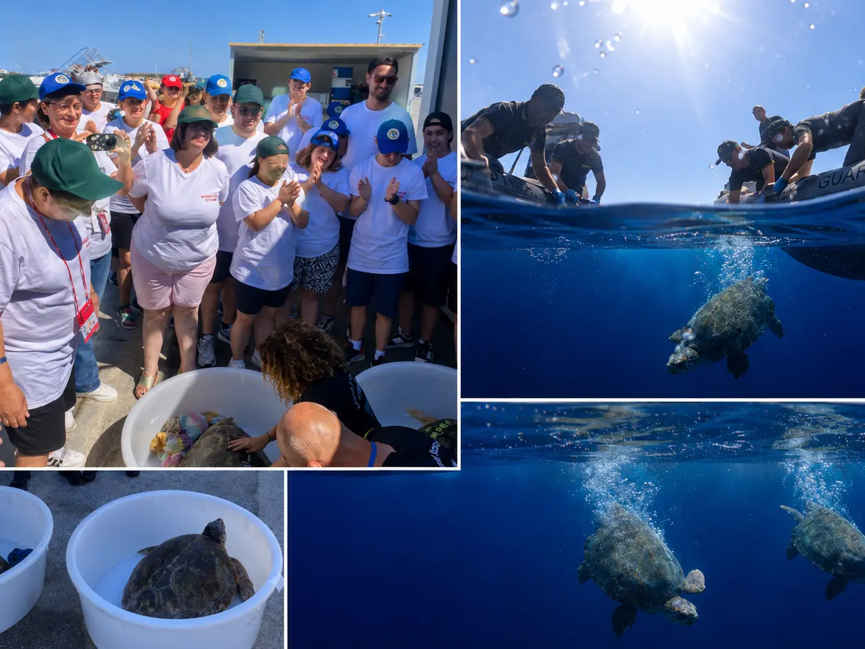 Vibo, due tartarughe tornano in mare dopo le cure salutate dall’entusiasmo dei ragazzi dell’associazione Il Dono