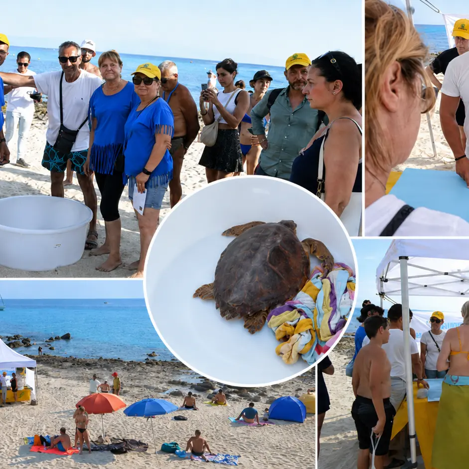 A Capo Vaticano il mare diventa scuola di natura per bambini e turisti: Legambiente racconta le tartarughe e libera “Alessia”\n