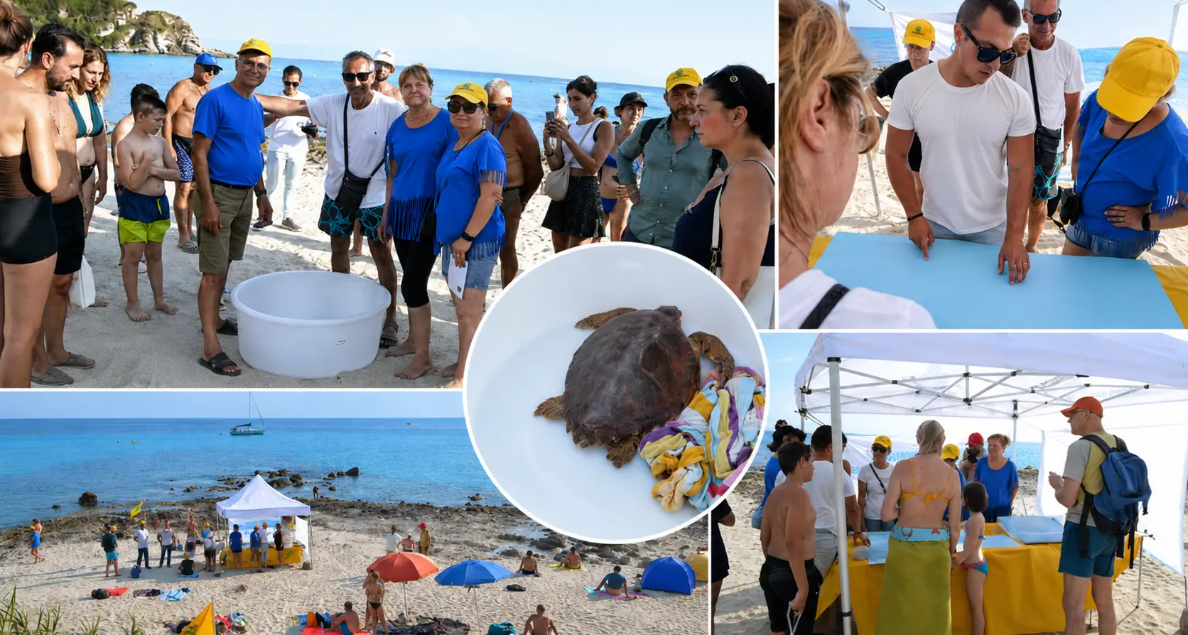 A Capo Vaticano il mare diventa scuola di natura per bambini e turisti: Legambiente racconta le tartarughe e libera “Alessia”\n