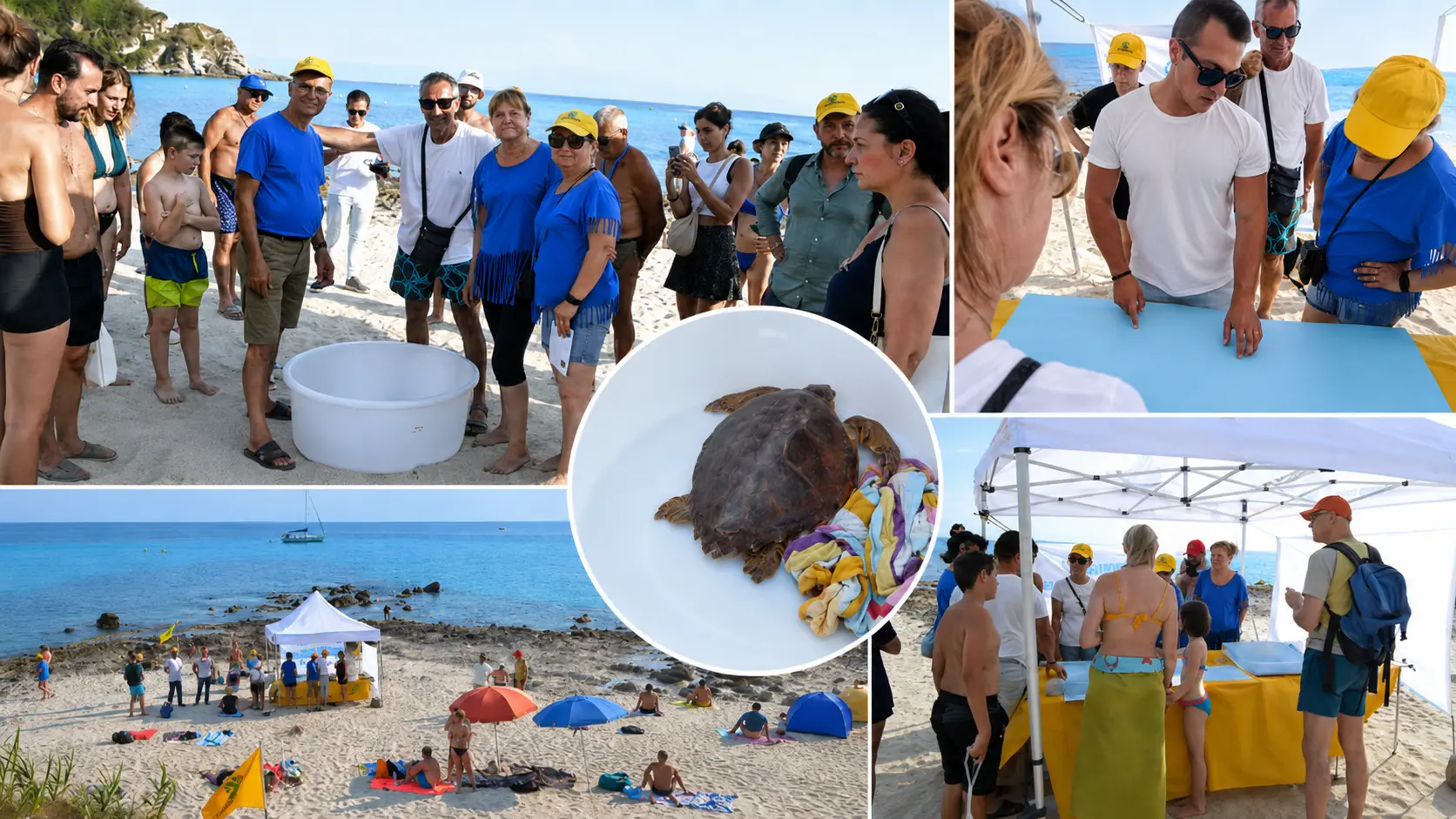 A Capo Vaticano il mare diventa scuola di natura per bambini e turisti: Legambiente racconta le tartarughe e libera “Alessia”\n
