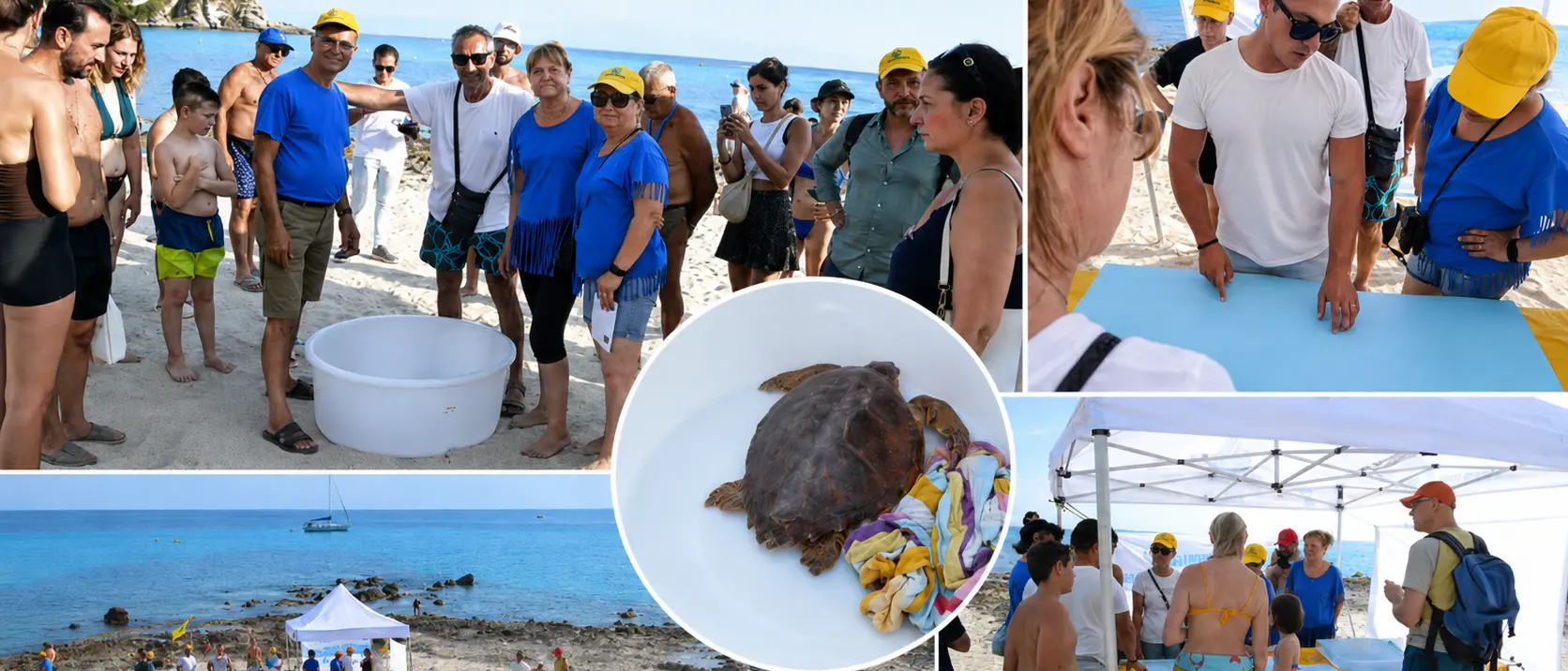 A Capo Vaticano il mare diventa scuola di natura per bambini e turisti: Legambiente racconta le tartarughe e libera “Alessia”\n