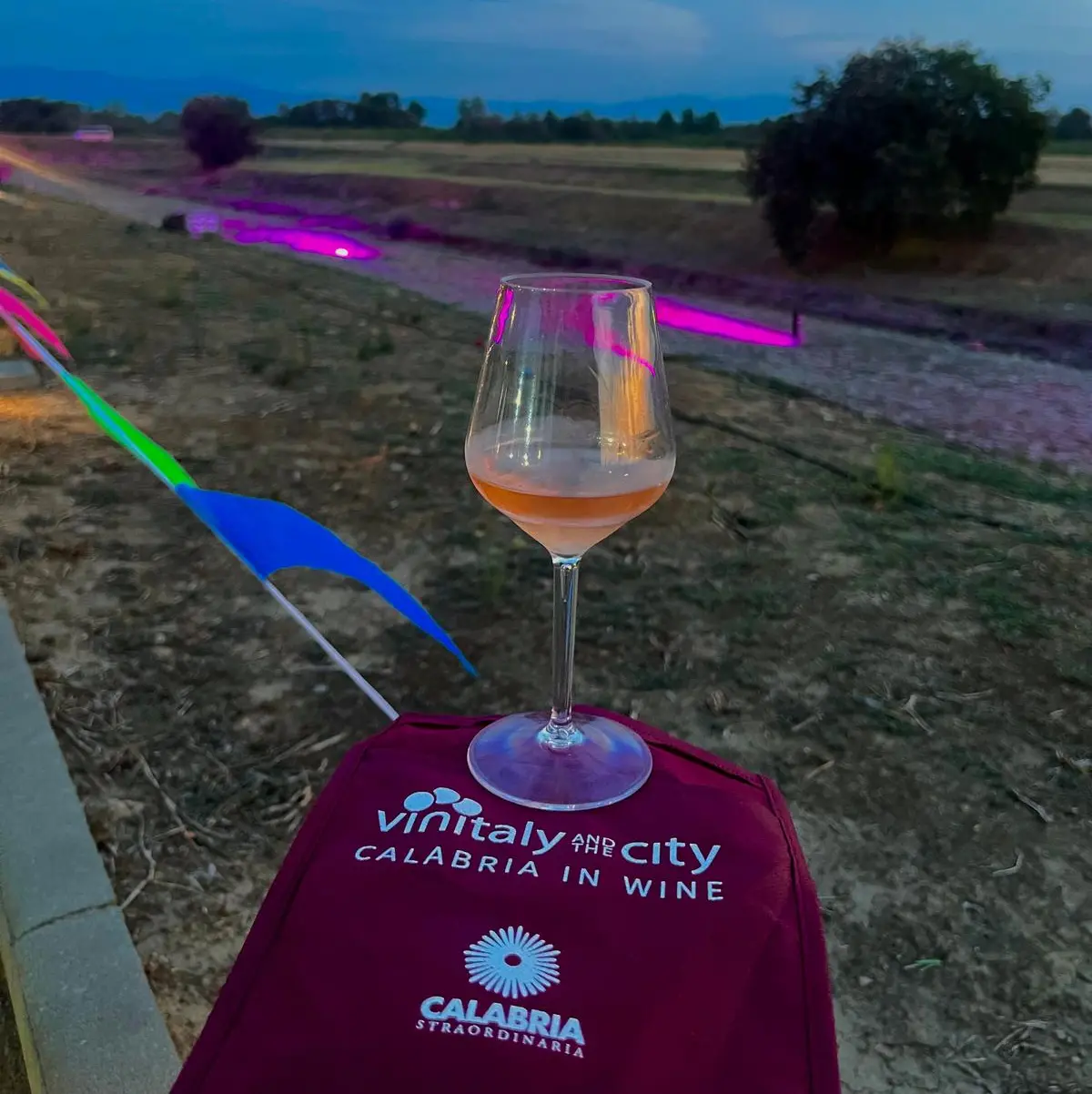 Vinitaly and the City raddoppia in Calabria: ufficiali le date di Sibari e Reggio\u00A0\n
