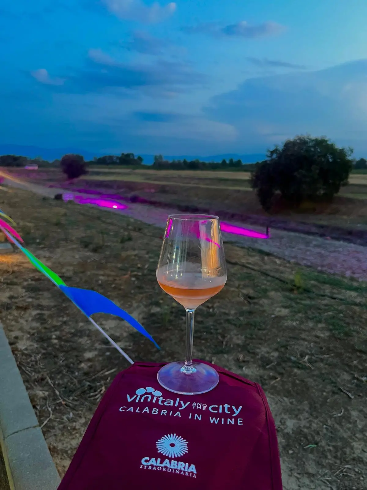 Vinitaly and the City raddoppia in Calabria: ufficiali le date di Sibari e Reggio\u00A0\n