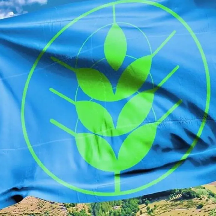 La Calabria al secondo posto per comuni rurali premiati con le Spighe Verdi, 11\u00A0le località sostenibili: ecco quali\n