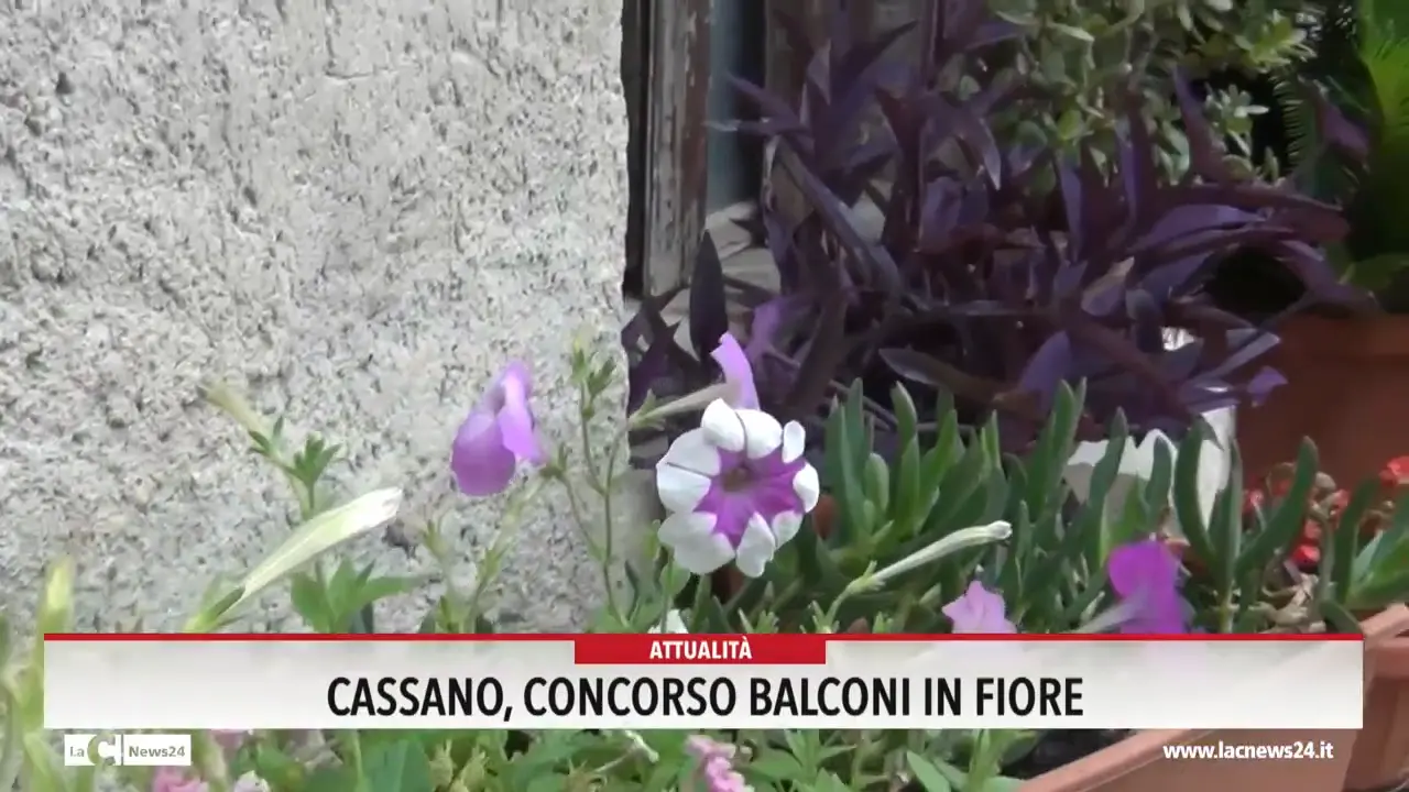 Cassano, concorso Balconi in fiore