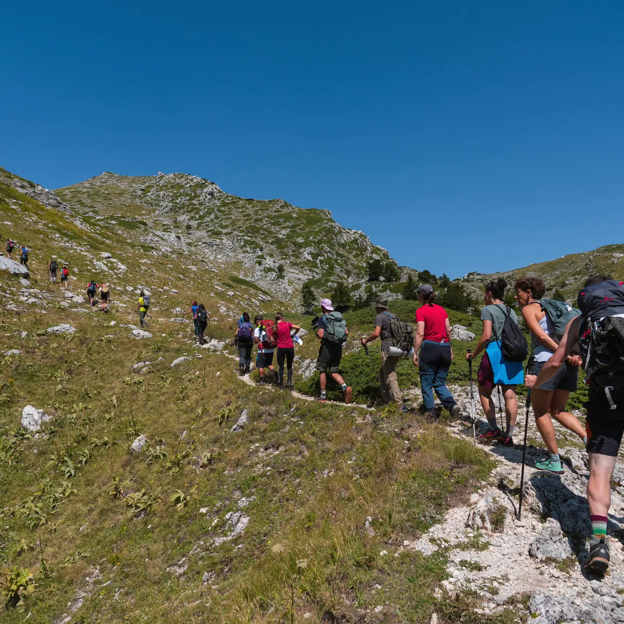 Va’ Sentiero Fest, 13 tappe (e 190 chilometri) per scoprire il Pollino: trekking, musica e notti sotto le stelle\n