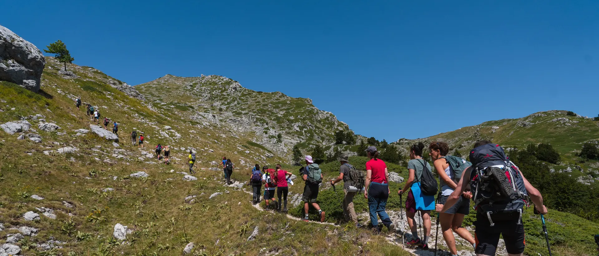 Va’ Sentiero Fest, 13 tappe (e 190 chilometri) per scoprire il Pollino: trekking, musica e notti sotto le stelle\n