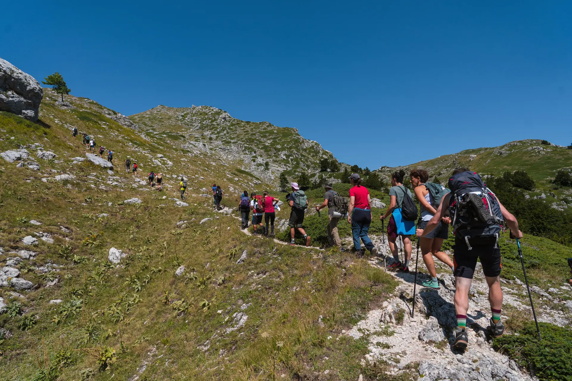 Va’ Sentiero Fest, 13 tappe (e 190 chilometri) per scoprire il Pollino: trekking, musica e notti sotto le stelle\n