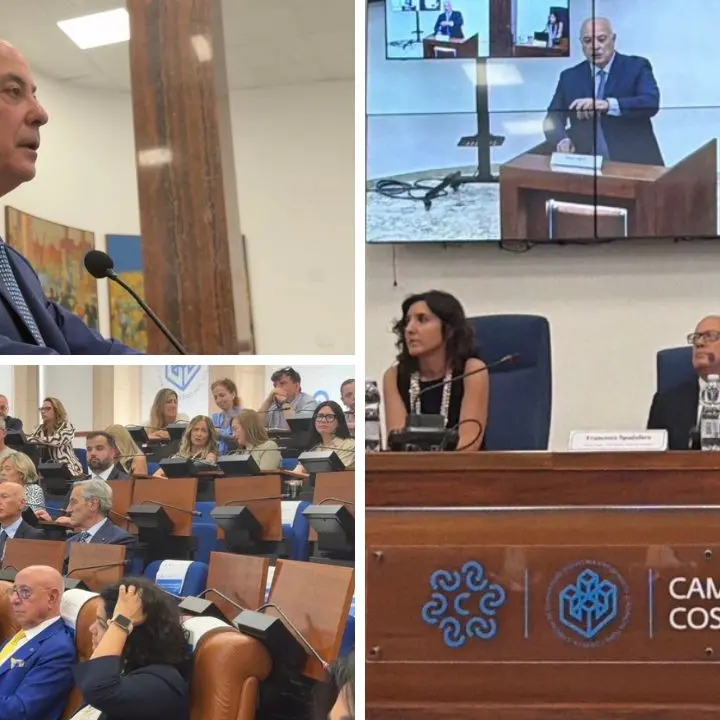 Rapporto banca d’Italia, la Camera di Commercio di Cosenza: «Il Sud non è fermo»\n