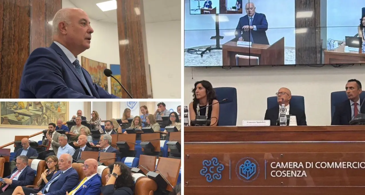 Rapporto banca d’Italia, la Camera di Commercio di Cosenza: «Il Sud non è fermo»\n